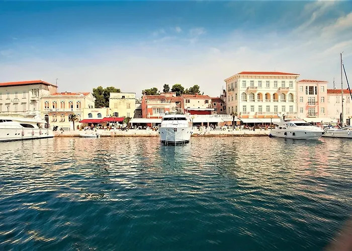 Vet-centar Guest house