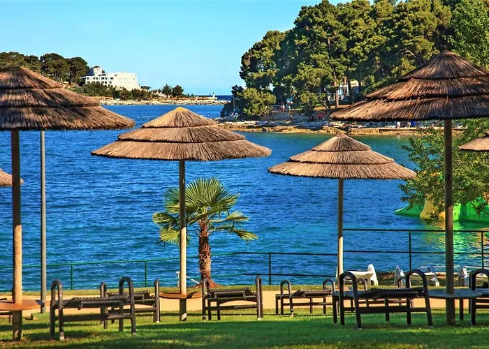 Guest house Vet-centar 4*